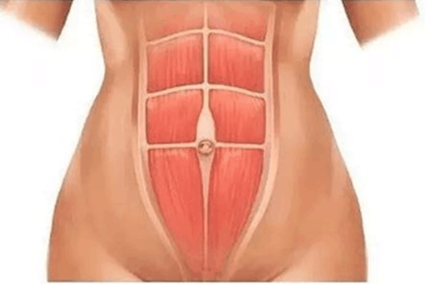 怎么练腹直肌,腹直肌锻炼 怎么练腹直肌,腹直肌锻炼