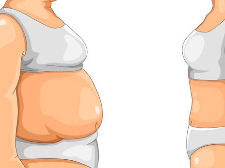 五百大卡等于多少脂肪,五千大卡等于多少脂肪