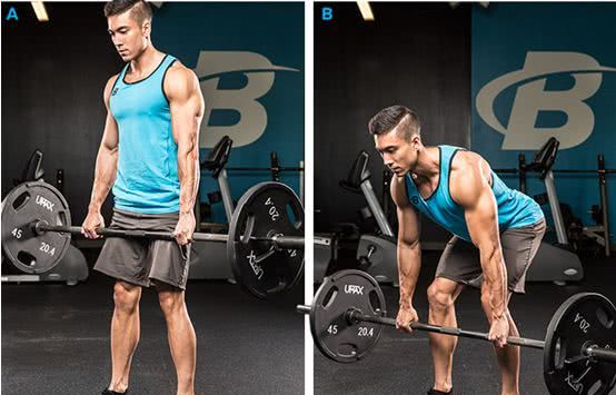 硬拉可以练竖脊肌吗,竖脊肌怎么拉伸