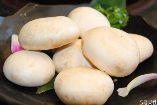 什么叫口蘑,口蘑为什么叫口蘑