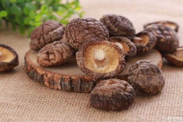 香菇还有什么菇,什么叫香菇