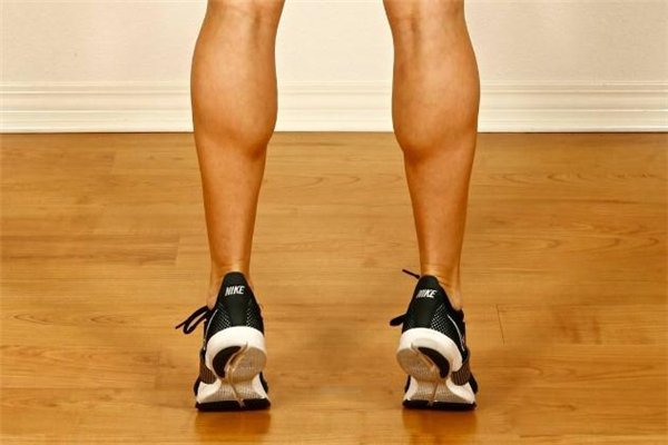 比目鱼肌在哪个部位,比目鱼肌在哪个部位图片