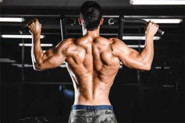 大圆肌在哪个位置图片,大圆肌在哪个位置图片 图解