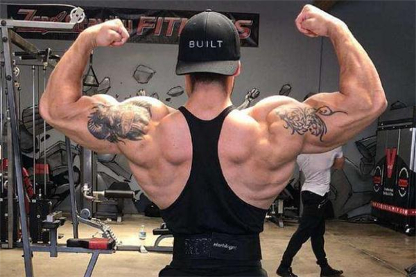 小圆肌大圆肌怎么练,大圆肌怎么练