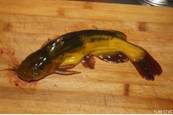 什么是埤塘,塘的意思是什么