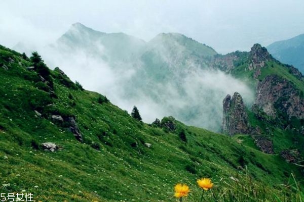 爬山锻炼的好处,爬山锻炼的好处和坏处