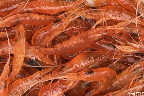 脊尾白虾价格,青尾虾是什么虾 脊尾白虾价格,青尾虾是什么虾