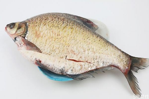 武昌鱼是啥鱼,武昌鱼是什么样的 武昌鱼是啥鱼,武昌鱼是什么样的