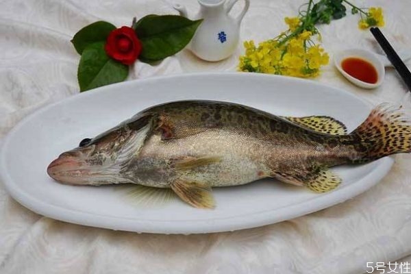 季花鱼是什么鱼?,为什么叫季花鱼