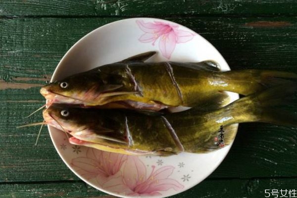 黄刺鱼吃什么食物为主,黄刺鱼的营养