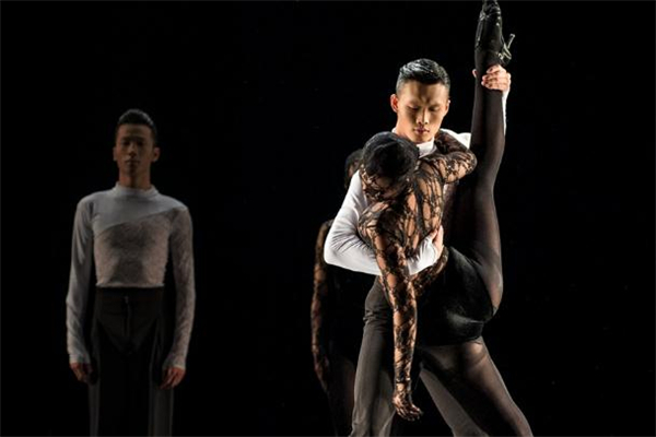 拉丁舞的舞种,拉丁舞有哪些舞种