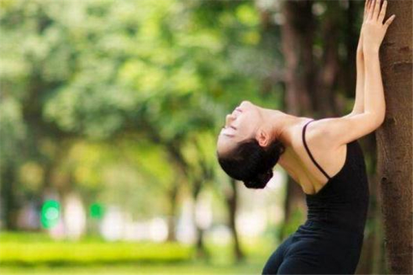 艾扬格瑜伽是什么瑜伽,艾扬格瑜伽学院