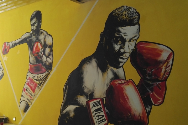 拳击能用腿吗,拳击可以使用腿法吗