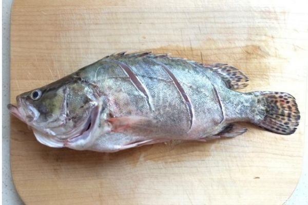鳜鱼为什么叫鳜鱼,鳜鱼是什么鱼? 鳜鱼为什么叫鳜鱼,鳜鱼是什么鱼?