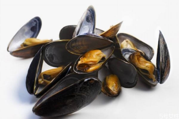贻贝是什么东西,贻贝的意思