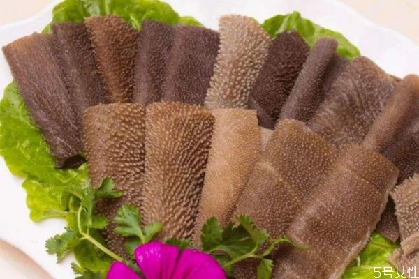 什么是毛肚呢我流鼻血跟矛盾有什么,毛肚是啥? 什么是毛肚呢我流鼻血跟矛盾有什么,毛肚是啥?