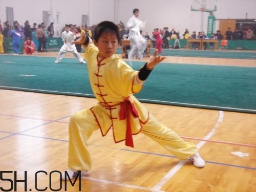 练武术有什么好处,如何练武术