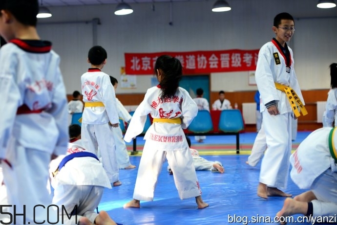 跆拳道白带考什么内容,跆拳道黄绿带要考什么 跆拳道白带考什么内容,跆拳道黄绿带要考什么