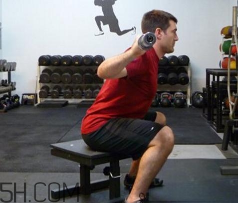 箱式深蹲动作要领,箱式深蹲和深蹲的区别