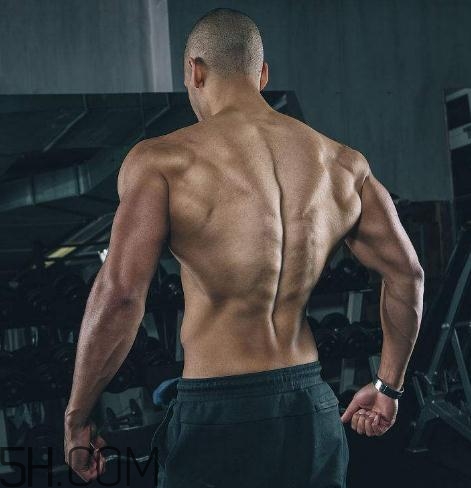 背阔肌怎么练厚度,背阔肌怎么练厚 背阔肌怎么练厚度,背阔肌怎么练厚