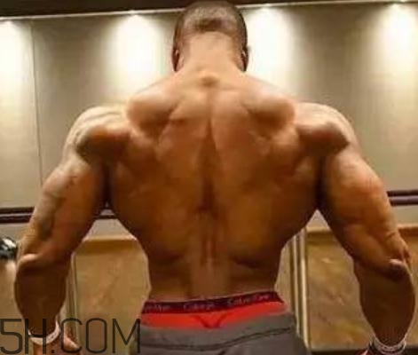 背阔肌怎么练宽,背阔肌怎么练宽锻炼方法 背阔肌怎么练宽,背阔肌怎么练宽锻炼方法