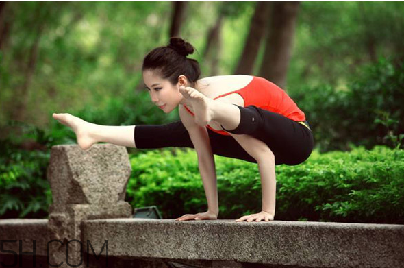 瑜伽适合什么人群,瑜伽的分类及特点和适合的人群