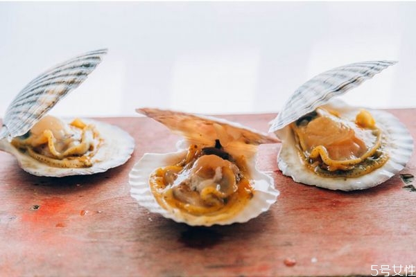 扇贝有啥营养价值,扇贝的营养