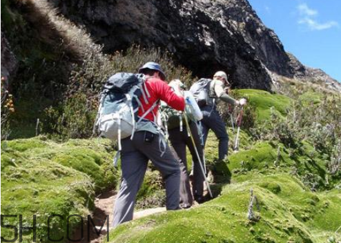 爬山腿疼几天才能恢复,爬完山腿疼几天能缓解