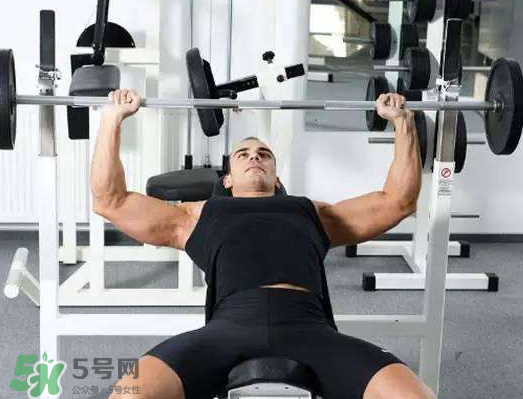 杠铃卧推和哑铃卧推的区别在哪里?,杠铃卧推和哑铃卧推的区别 杠铃卧推和哑铃卧推的区别在哪里?,杠铃卧推和哑铃卧推的区别