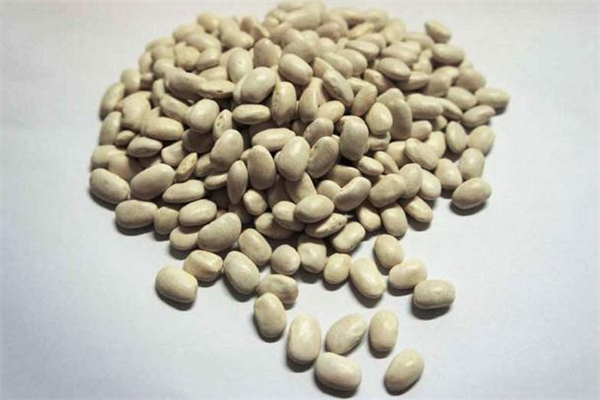 白芸豆减肥产品靠谱吗,白芸豆瘦身汤怎么样