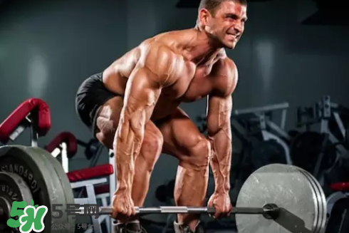 硬拉可以天天练吗,硬拉能天天练吗