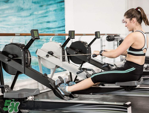 划船机锻炼哪部分肌肉,划船机肌肉锻炼示意图