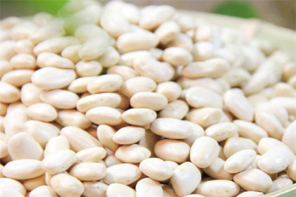 芸豆怎么泡最快,快速泡芸豆的办法 芸豆怎么泡最快,快速泡芸豆的办法