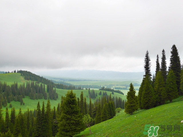 新疆旅游的攻略,新疆旅游攻略自由行