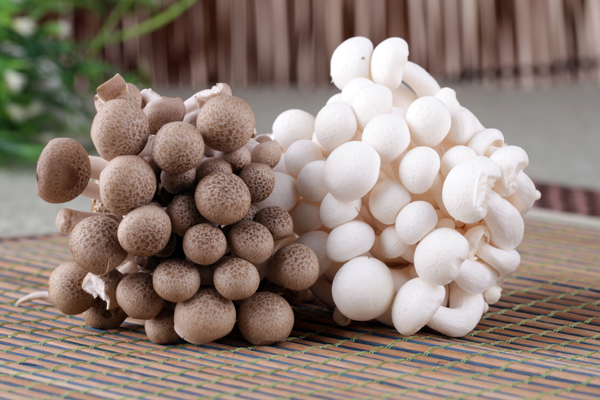 蟹味菇是什么样子的,蟹味菇是什么样子图片