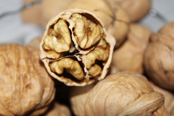 核桃保质期多久不能吃,六个核桃保质期多久