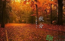 秋天适合做什么运动,秋冬季节适合做什么运动