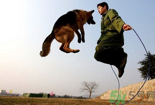 跳绳能不能锻炼腹肌,跳绳可以练腹肌吗有什么好处 跳绳能不能锻炼腹肌,跳绳可以练腹肌吗有什么好处