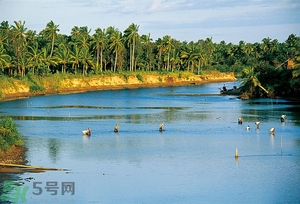 游泳晒伤了怎么办通红疼痛,游泳晒伤了怎么办通红疼痛用什么药 游泳晒伤了怎么办通红疼痛,游泳晒伤了怎么办通红疼痛用什么药