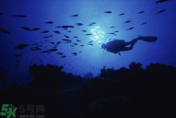 深潜危险么?深潜注意事项有哪些?,深潜危险么