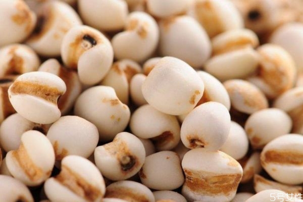 吃薏仁米能减肥吗,吃薏仁可以减肥吗 吃薏仁米能减肥吗,吃薏仁可以减肥吗