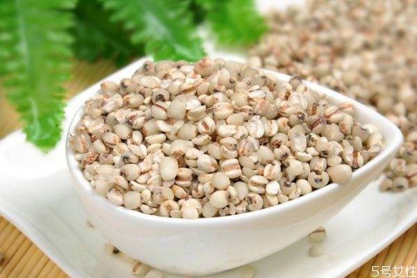 薏仁的营养价值,薏仁的营养价值及功效和作用