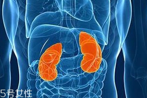 喝完水一会就尿是肾不好吗,喝水后很快就尿是肾不好吗 喝完水一会就尿是肾不好吗,喝水后很快就尿是肾不好吗