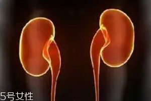 尿道里有石头,从尿道排出来的石头 尿道里有石头,从尿道排出来的石头