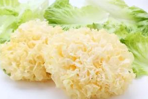 银耳有什么功效和作用,银耳汤的作用和功效 银耳有什么功效和作用,银耳汤的作用和功效