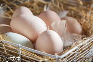 土鸡蛋真的比普通鸡蛋好吗,土鸡蛋好不好