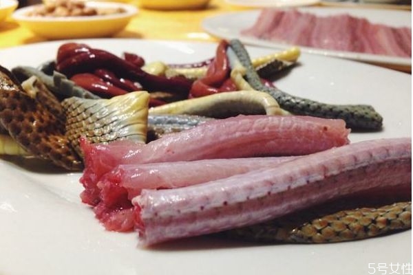 蛇肉可以吃吗?,野生蛇肉可以吃吗