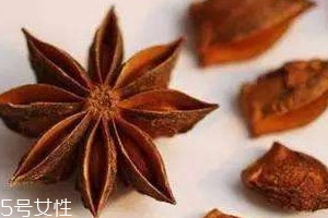 没有八角可以用什么代替,八角可以用什么代替