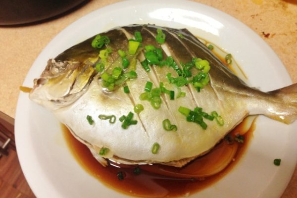 怎么挑选金鲳鱼,如何挑选鲳鱼