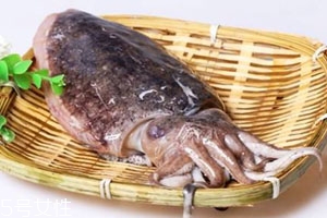 如何清洗墨鱼,墨鱼清洗方法